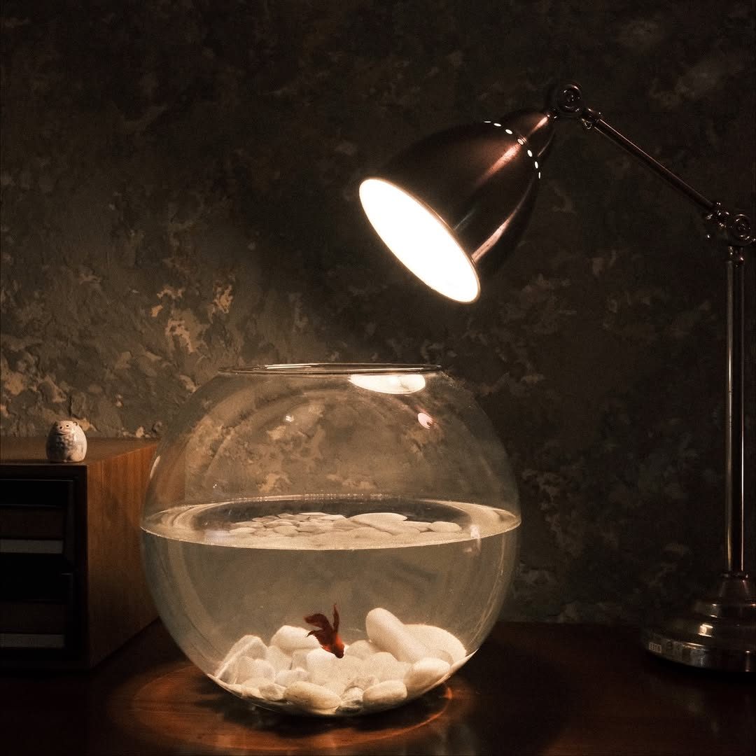 吧台上的魚缸與檯燈